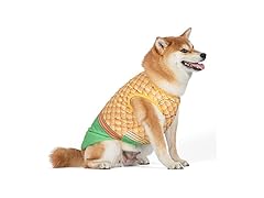 DC Comics Superhero Aquaman Halloween Dog Costume