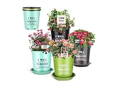 NIKONIKO 8 Pack 6.5 Inch Plant pots