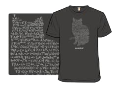 Schrodinger's Equation Remix
