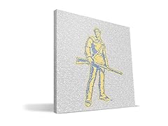 West Virginia Mountaineers