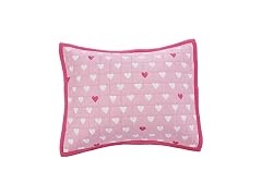 Amazon Basics Kids Cotton Reversible Sham
