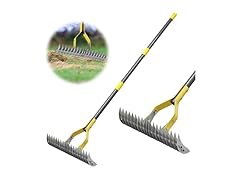 Thatch Rake, 2-in-1