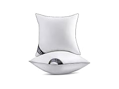 2 Pack 18"x18" Throw Pillow Inserts