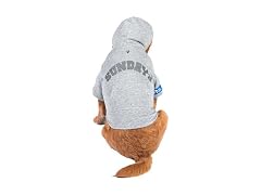 The Dodo Heather Gray ‘Sundays’ Hoodie for Dogs, S