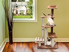 Cat Play Stairs