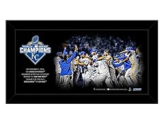 World Series Champions 10x20 Celebration Collage
