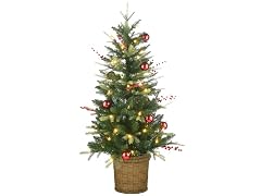 National Tree Company 4 ft. Pre-Lit Scotch Creek Tree