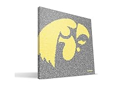 Iowa Hawkeyes