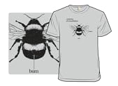 Bumblebee Anatomy