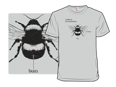Bumblebee Anatomy