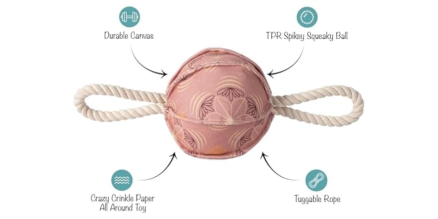 Fringe Studio 3D Canvas Toy with Rope