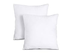 Throw Pillows Insert (Pack of 2) 18"x18"