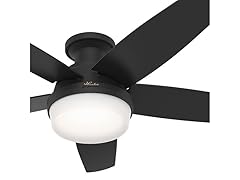 Hunter Fan 48" w/Light Kit and Remote