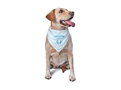 vercosee Coming Soon….Bandana Pregnancy Announcement