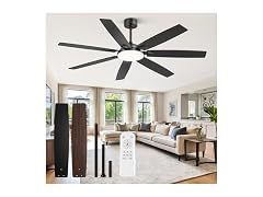 Fanbulous Black 62” Ceiling Fan with Lights