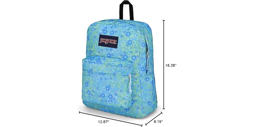 JanSport SuperBreak One Backpacks