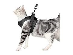 PJDDP Small Cat Harness with Leash