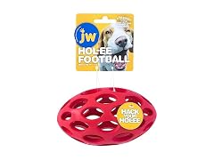 JW Pet Hol-ee Water Bottle Dog Toy