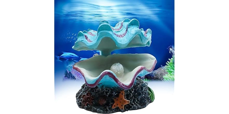 Abnaok Aquarium Shell Decoration