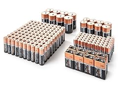 AA/AAA/C/D/9V Alkaline Batteries - 176 Super Fun Pack