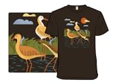 Black-necked Stilt Bird