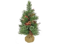 National Tree Company 24 in. Pre-Lit Glistening Pine Tree