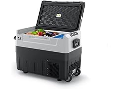 F40C4TMP 12 Volt Refrigerator,47 Quart