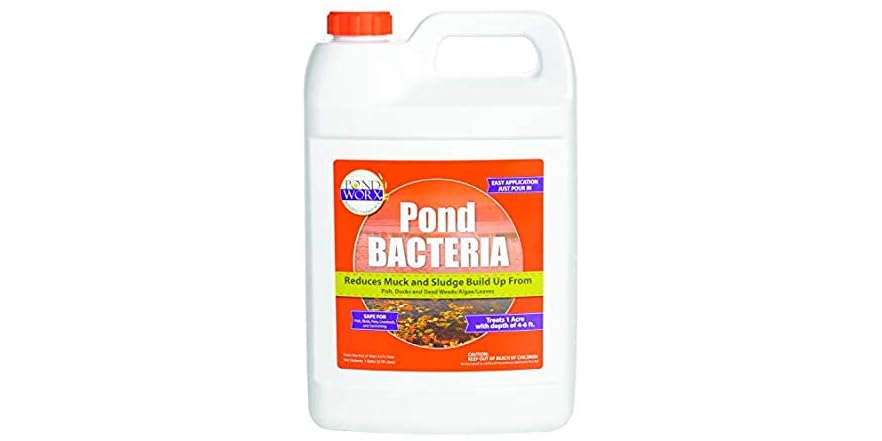 Teinture Acrylique Concentrée pour Bois - Teintes au Choix - 1 L