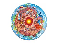 Hape Underground World Puzzle