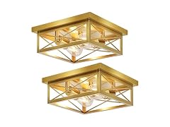 Kondras B0F31XPZY8 2-Pack Hallway Fixtures Ceiling
