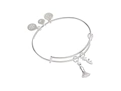 Alex And Ani Duo Charm Bangle