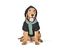 HARRY POTTER Slytherin Pet Hoodie w Scarf