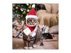 Pets Safari Cat Santa Hat Large