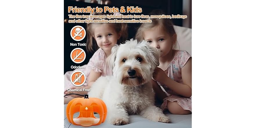 Flea Traps for Inside Your Home, 2 Packs Pumpkin - Kitten Flea Traps