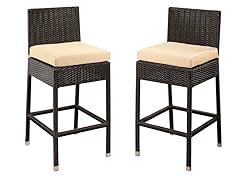 Ascher Set of 2 Outdoor Wicker Bar Stools with Cushions