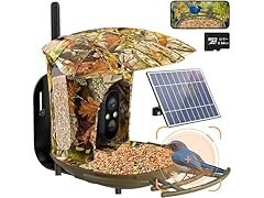 1080P HD Smart Bird Feeder Camera