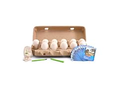 Discovery™ Dino Excavation Eggs STEM Kit