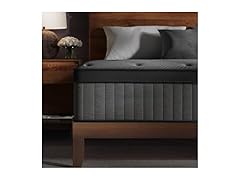 ZLNDR 10 Inch Queen Mattress