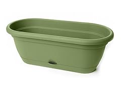 18" Lucca Window Box Living Green