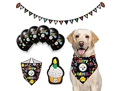STEELERS Dog Birthday Set (L/XL)