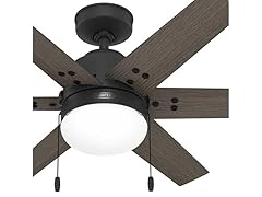 Hunter Fan 44" Ceiling Fan w/Lights- Black