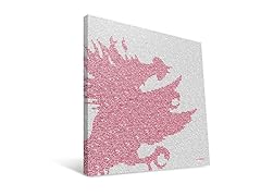 South Carolina Gamecocks