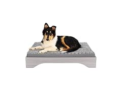 Furhaven Elevated Dog Bed for Large Dogs