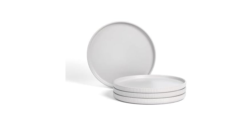 Stone Lain Haven Stoneware 4Pc Dinner Plates