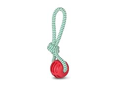Bow Wow Pet Holiday Rope & Ball Dog Tug Toy, Small