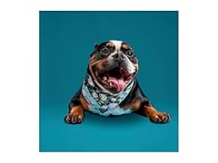 Pooch Mode Floral Collage Bandana