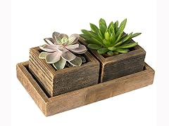 Succulent Double Reclaimed Wood Planters