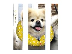 Puppy Bumpers Honey Bee 