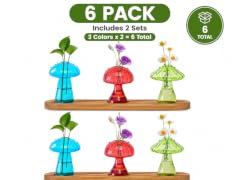 6 Pack Mushroom Glass Propagation Vases