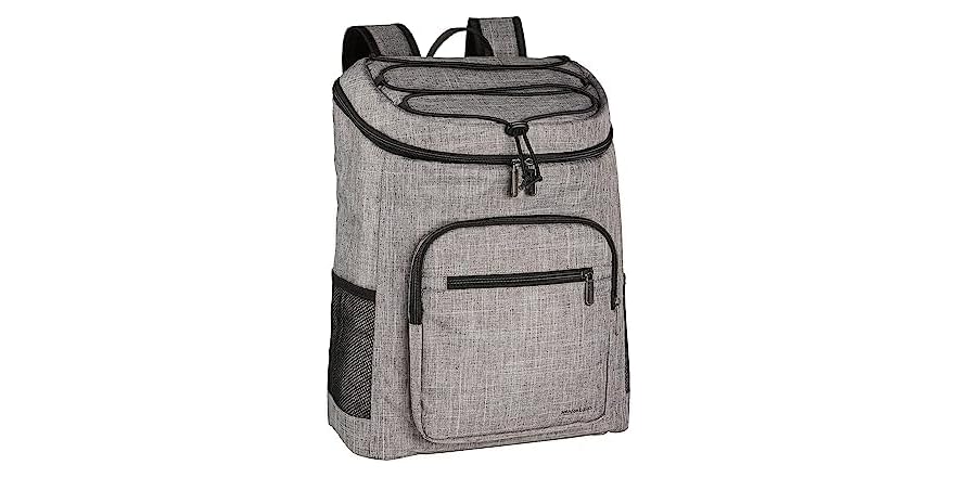 Amazon Basics Insulated Cooler Backpack Deal at Woot: $24.99